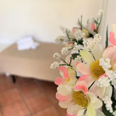 Matari Bed & Breakfast